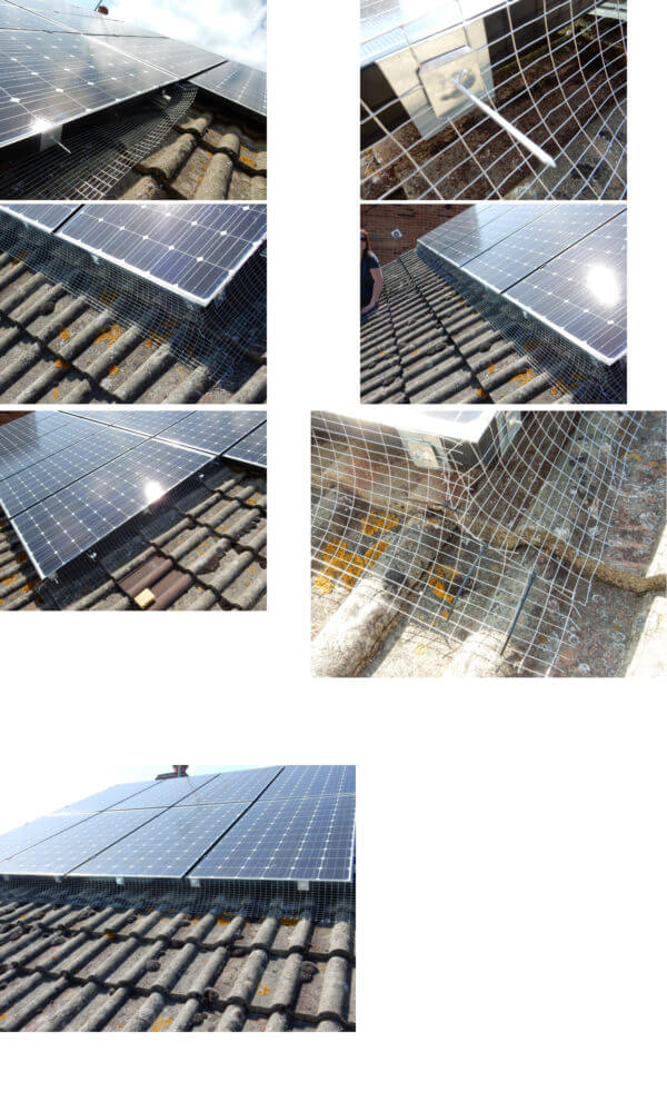 solar-panel-pics-group