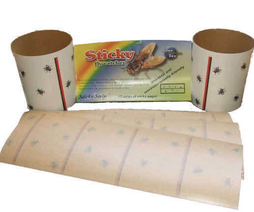 12 Pack Sticky Flying Insect Traps Effective And Convenient Solution To