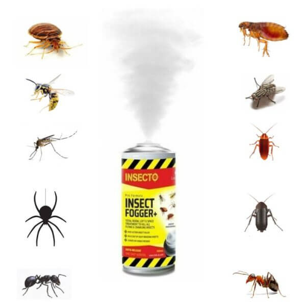 Most effective flea fogger best sale